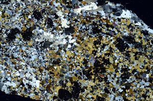 Cross Polarized, S60153