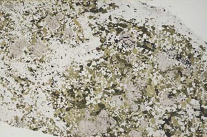 Plane Polarized, S60153