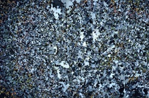 Cross Polarized, S60161