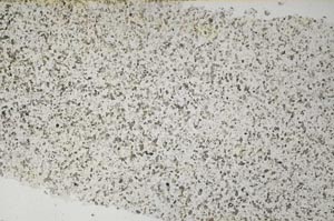 Plane Polarized, S60171
