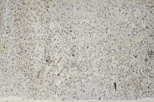Plane Polarized, S60172