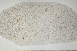 Plane Polarized, S60179
