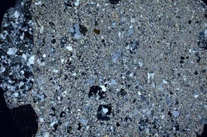 Cross Polarized, S60208