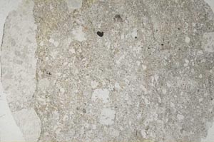 Plane Polarized, S60208