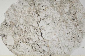 Plane Polarized, S60209