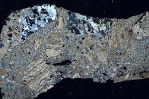 Cross Polarized, S60223