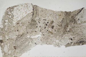 Plane Polarized, S60223