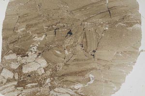Plane Polarized, S60224