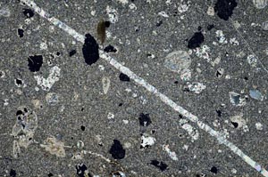 Cross Polarized, S60229