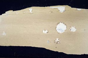Cross Polarized, S60238