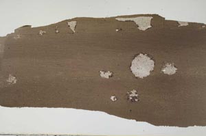 Plane Polarized, S60238