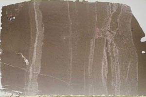 Plane Polarized, S60239
