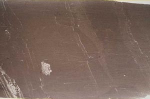 Plane Polarized, S60240/B