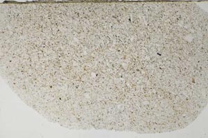 Plane Polarized, S60270