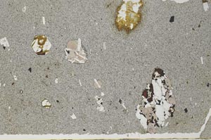 Plane Polarized, S60316