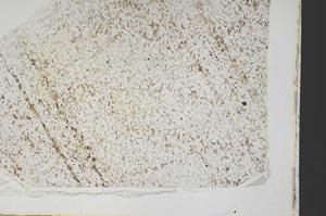 Plane Polarized, S60342
