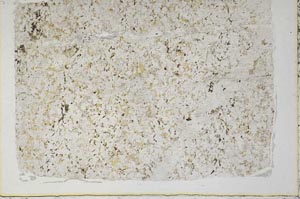 Plane Polarized, S60344