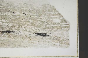 Plane Polarized, S60350