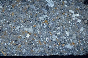 Cross Polarized, S60335