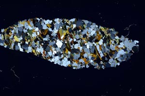 Cross Polarized, S60364