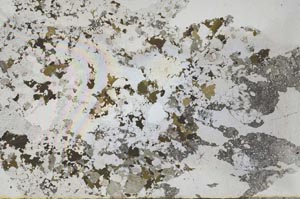 Plane Polarized, S60382