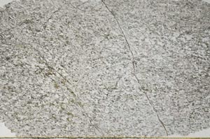 Plane Polarized, S60385