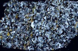 Cross Polarized, S60390
