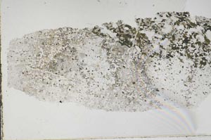 Plane Polarized, S60392