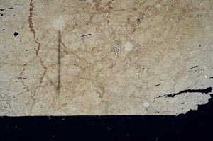 Cross Polarized, S60394