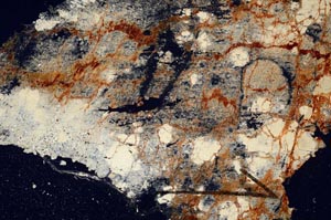 Cross Polarized, S60395