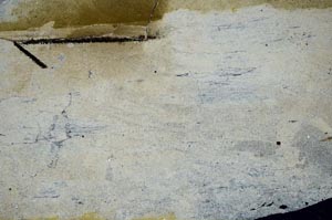 Cross Polarized, S60396