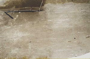 Plane Polarized, S60396