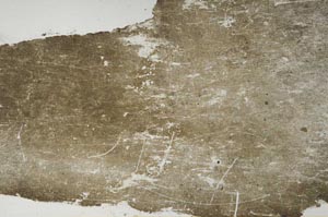 Plane Polarized, S60397
