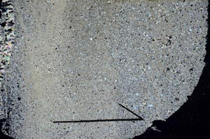 Cross Polarized, S60403