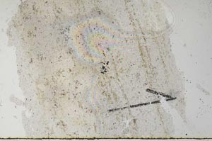 Plane Polarized, S60407