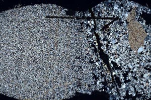 Cross Polarized, S60408