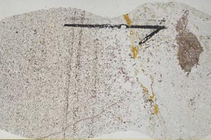 Plane Polarized, S60408