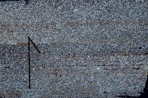 Cross Polarized, S60409