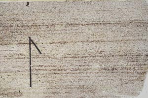 Plane Polarized, S60409