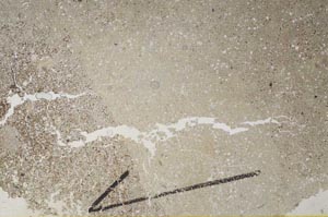 Plane Polarized, S60410