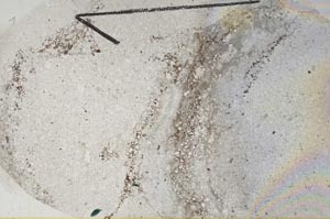 Plane Polarized, S60411