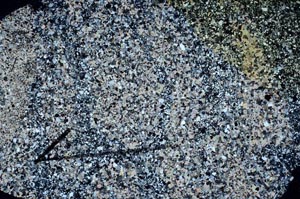 Cross Polarized, S60412