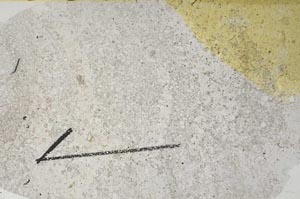 Plane Polarized, S60412