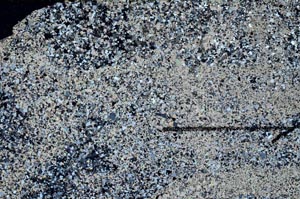 Cross Polarized, S60414