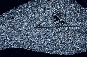 Cross Polarized, S60418