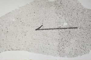 Plane Polarized, S60418