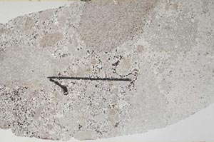 Plane Polarized, S60419