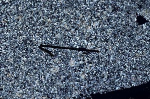 Cross Polarized, S60420