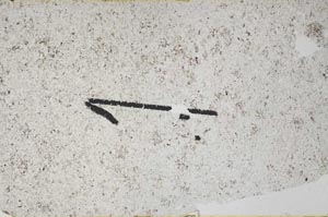 Plane Polarized, S60420