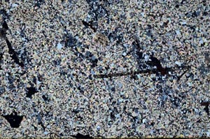 Cross Polarized, S60421